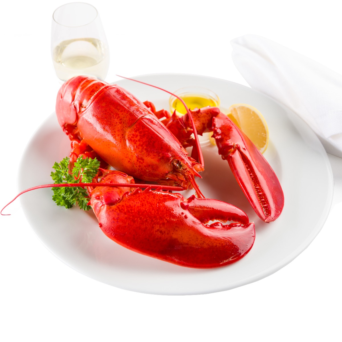 ShopLobster Sustainable. Fresh. Lobster for All.