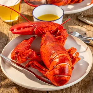 Buy 1.5 lb Fresh Maine Lobster