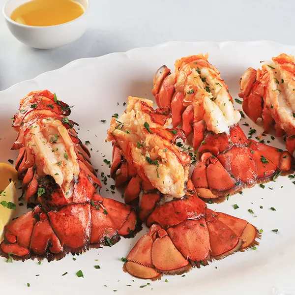 12 Maine Lobster Tails (4-5 oz Each) – Perfect for Gifting or Grilling