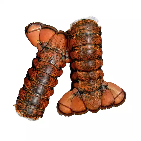 Frozen Lobster Tails