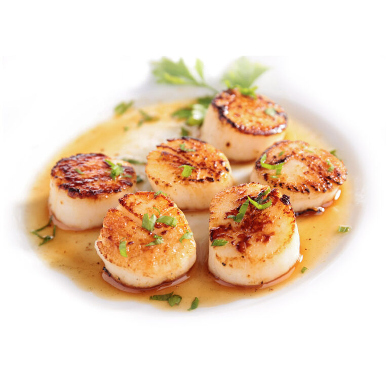 Sea Scallops