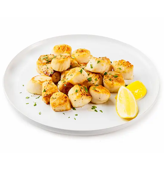 Wild Caught Sea Scallops