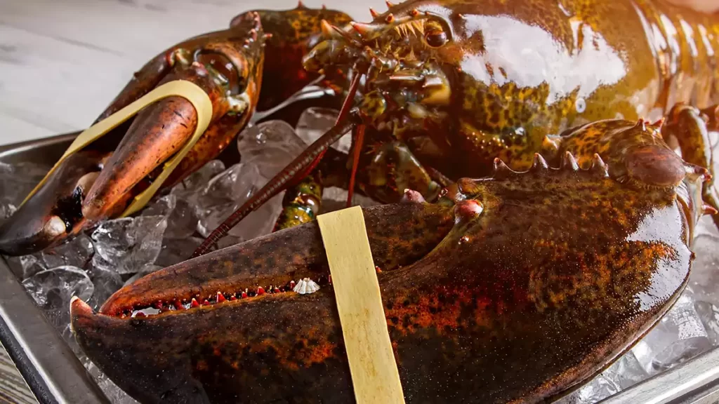 What Size Lobsters Taste the Best?