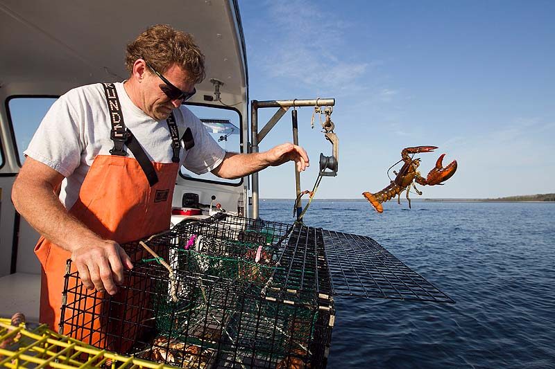 How To Fish For Lobster in the Most Environmentally Friendly Way