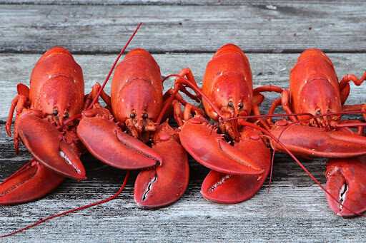 Some Delicious Ways to Prepare Lobster 