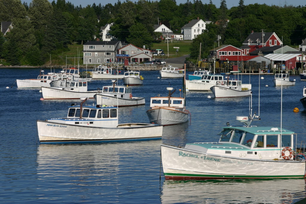 A Day in the Life of a Maine Lobsterman: Tales from the Atlantic