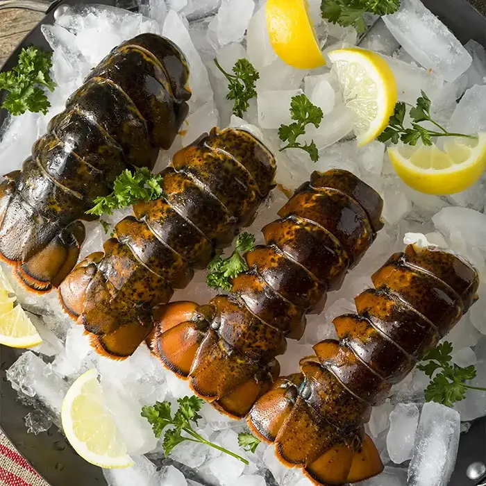 Buy One, Get One Free: FRESHEST MAINE LOBSTER TAILS (4-5 OZ)