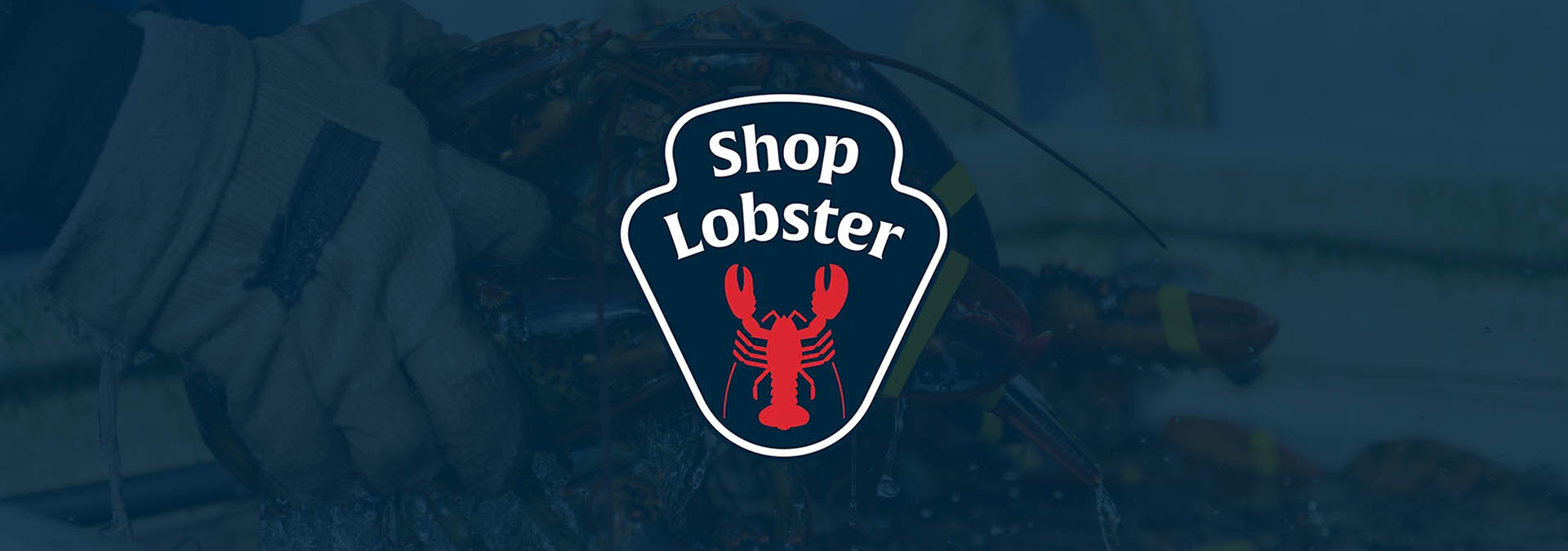 ShopLobster - Live Maine Lobster