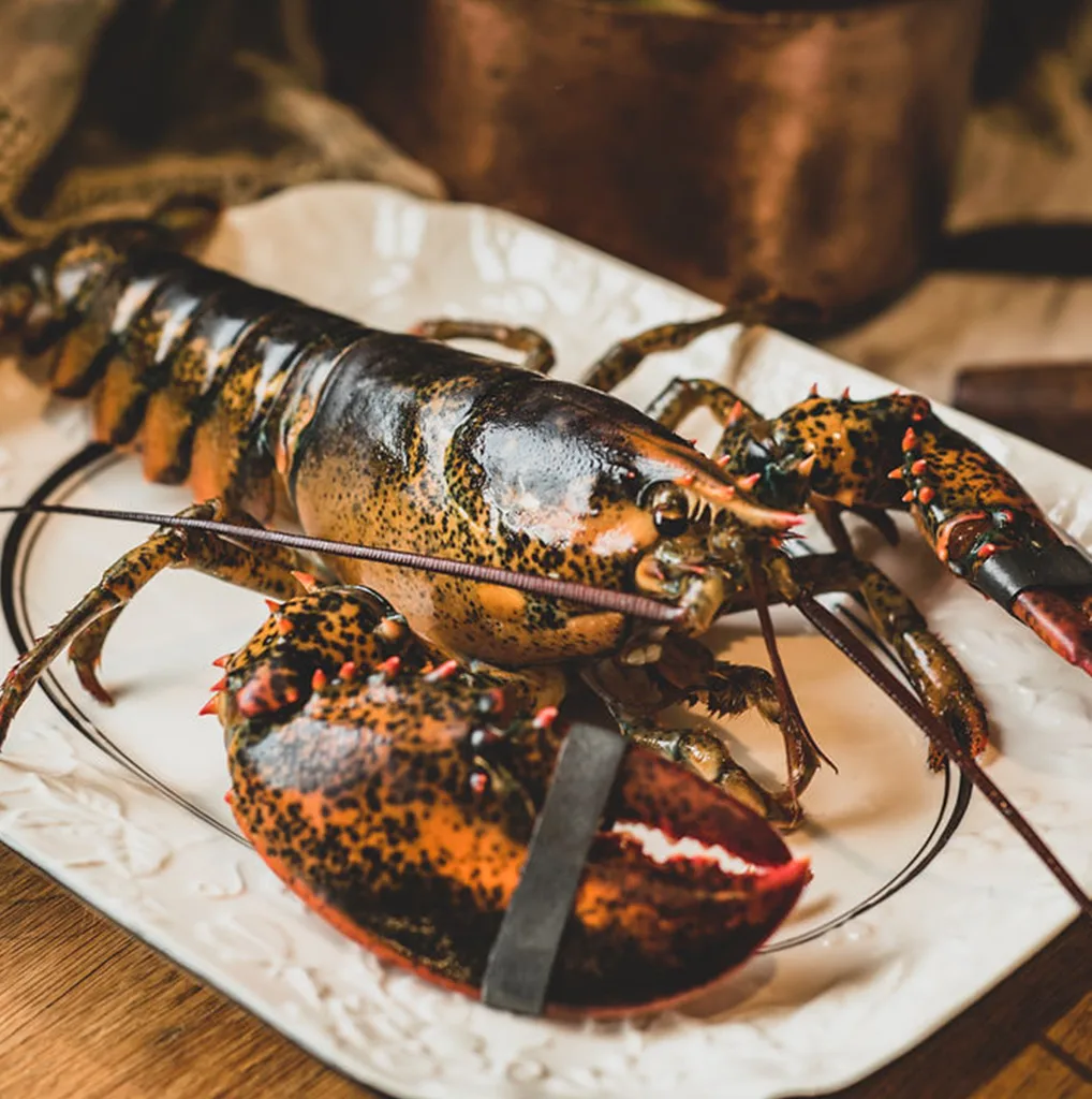Maine Lobster on a Plate