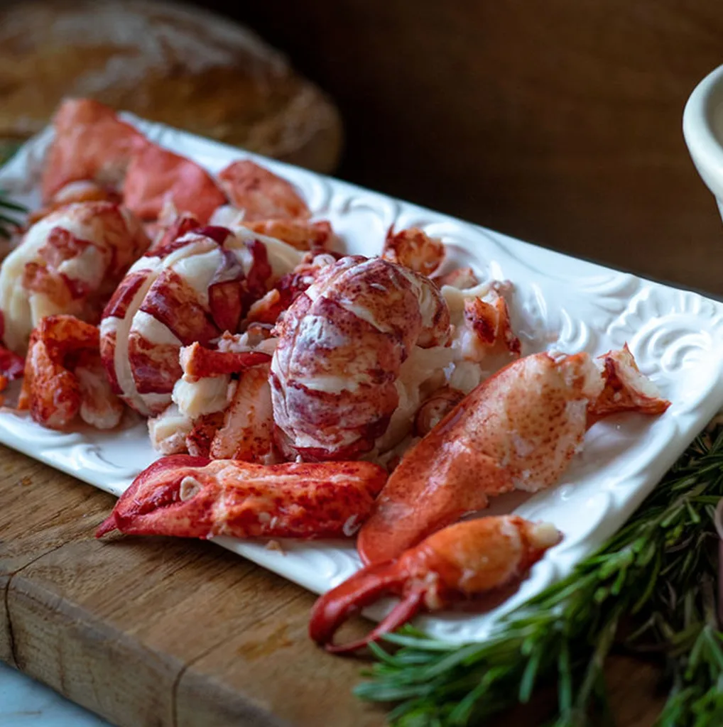 Lobster Meat Wholesale