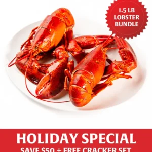 Fresh Maine Lobster - Holiday Special