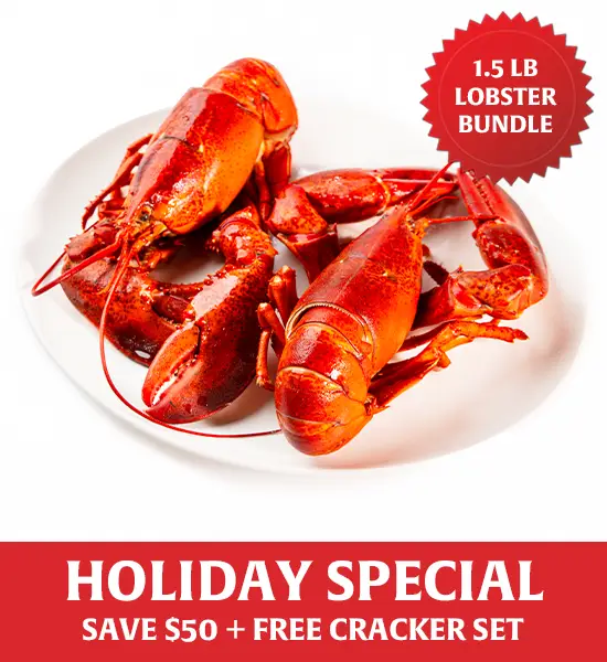 1.5 lb Maine Lobster Bundle – Save Big + Free Cracker Kit