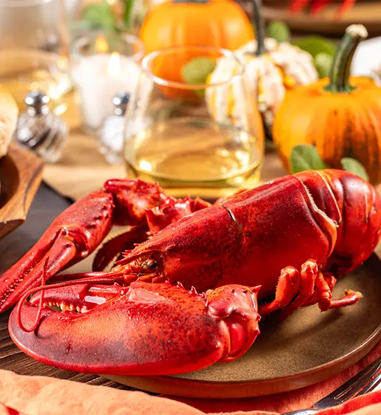 1.5 lb Maine Lobster Bundle – Save Big + Free Cracker Kit