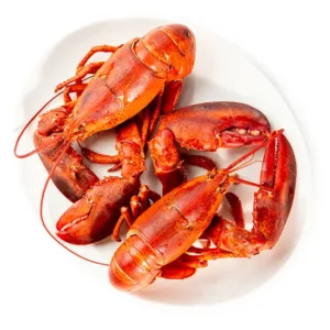 1.5 lb Maine Lobster Bundle – Save Big + Free Cracker Kit