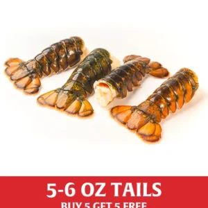 Exclusive 5-6 oz Maine Lobster Tails