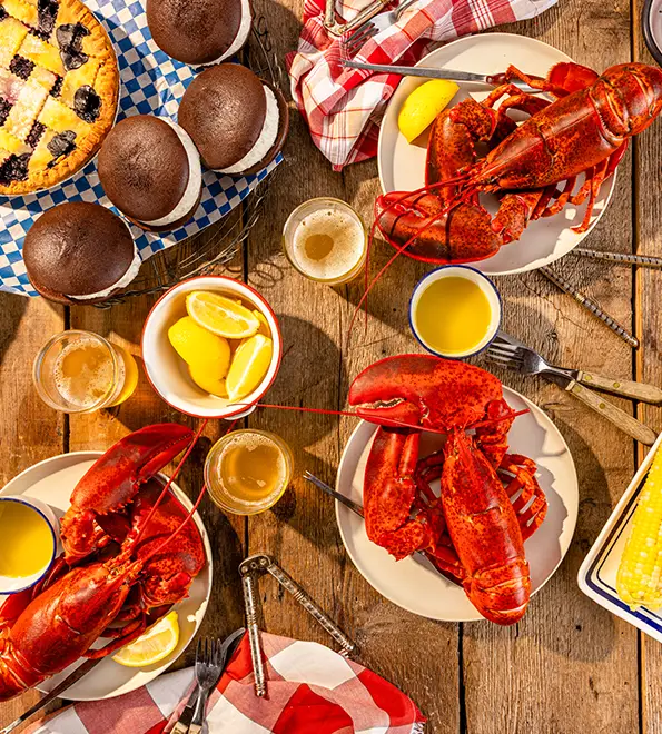 Maine lobster cooked, on table, ShopLobster Deals