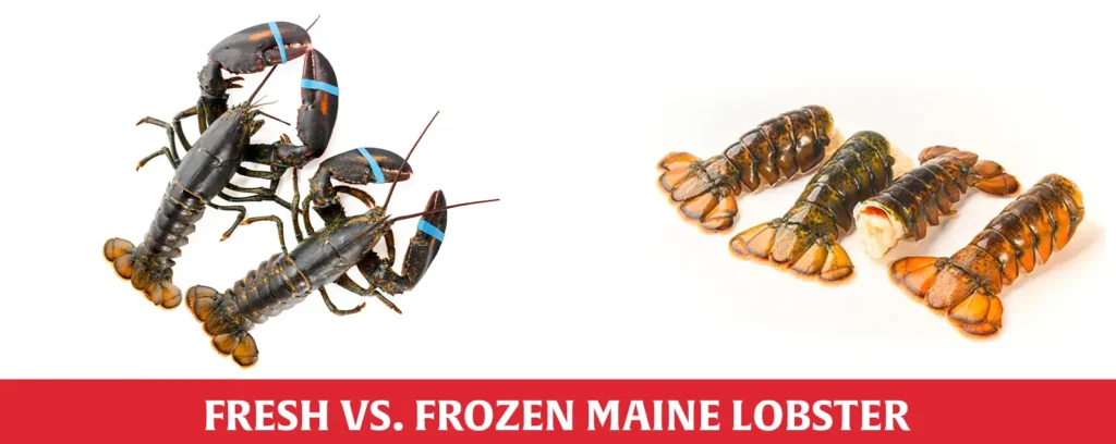 Fresh vs. Frozen Maine Lobster: A Culinary Guide to Taste, Quality, and Sustainability