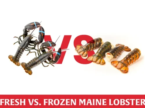 Fresh vs Frozen Maine Lobster