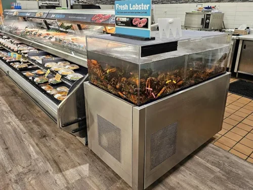 Why supermarket lobsters are not as fresh as wild-caught Maine lobsters